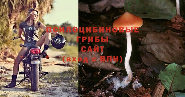 сатива Каменск-Шахтинский