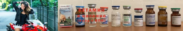 сатива Каменск-Шахтинский