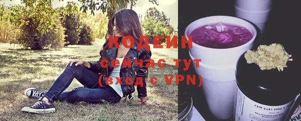 ГАЛЛЮЦИНОГЕННЫЕ ГРИБЫ Каменногорск