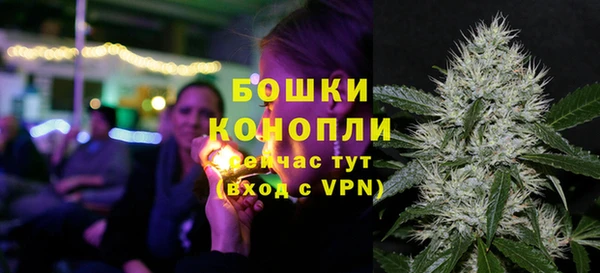 ГАЛЛЮЦИНОГЕННЫЕ ГРИБЫ Каменногорск