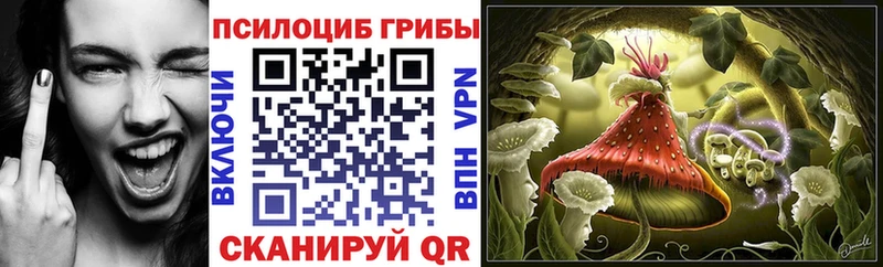 Псилоцибиновые грибы Magic Shrooms маркетплейс какой сайт Качканар