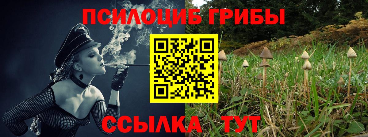 Псилоцибиновые грибы Psilocybine cubensis Качканар