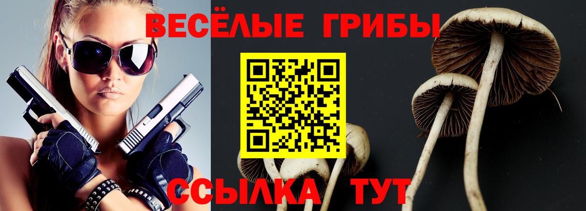 где продают наркотики  Псилоцибиновые грибы Psilocybe  Вход с VPN  Качканар 